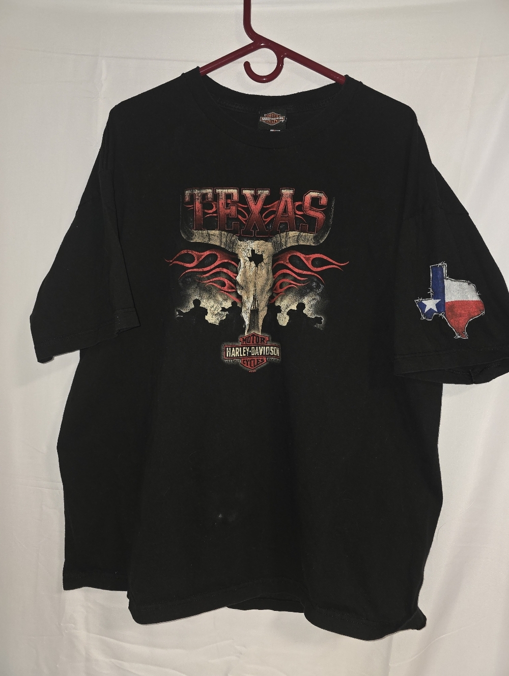 Harley‑Davidson Black Texas Skull & Flame Graphic Tee